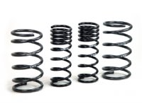 H&R Lower Spring Kit Ford Focus ST